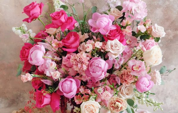 Bloom Box